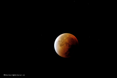 mondfinsternis_9347