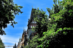 prag.c03.530