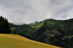 rauris-04.018-mittelstation-heimalm-almweg-kreuzboden