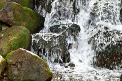 11.002-gaerten_von_schloss_trauttmansdorff_wasserfall-8233