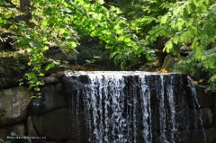 11.007-gaerten_von_schloss_trauttmansdorff_wasserfall-8181