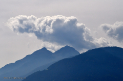 12.121-gaerten_von_schloss_trauttmansdorff_umgebung-8544