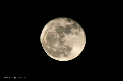 z-sonstiges-mond-1.06